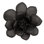 Laui Succulent Wall Decor