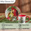  Ensemble de 4 assiettes à dessert Holiday Cardinal Love