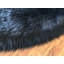 Tapis noir Wiesner-977785747
