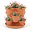 Saliah Pot Planter-230512548