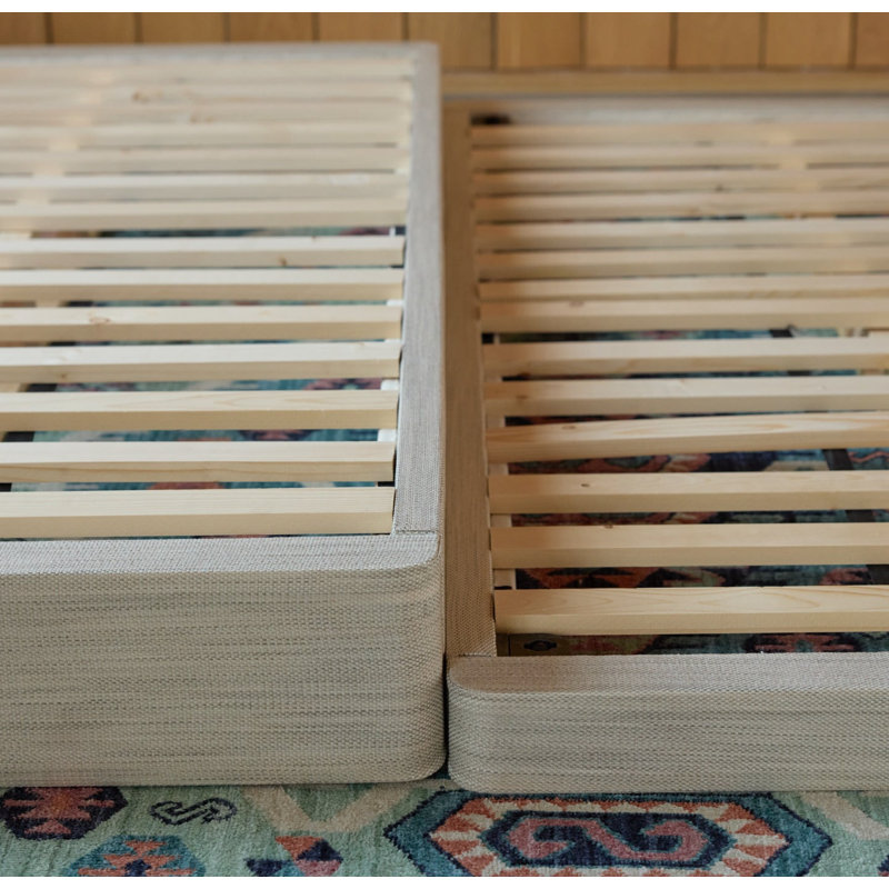 Avocado Foundation, Queen