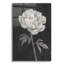 «Black and White Flowers 1» par Ethan Harper, art mural en verre acrylique