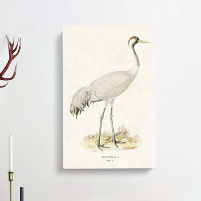 Common Crane by Von Wright - Wrapped Canvas