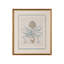 Besler Botanicals in Willow Blue IV