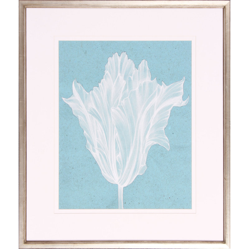 Monochrome Tulip V Print by Goldberger