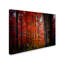 " No Particular Title " by Philippe Sainte-Laudy-31355288
