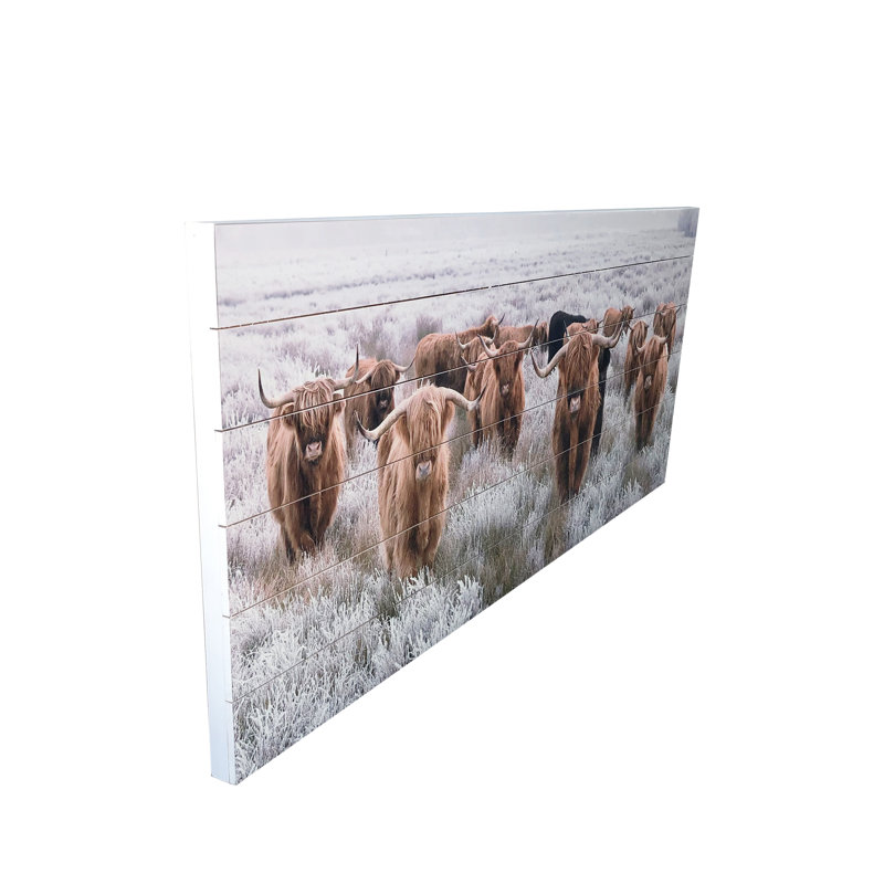 "Highland Herd" Photograph Print on Planked Wood Wall Art