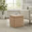Atreju Upholstered Storage Ottoman-127880681-132336707