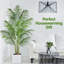 182.88cm Palm Plant