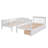 Xavier Stairway Bunk Bed with Drawers & Shelves-1154624837-1154624839