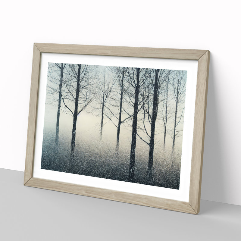 Progressive Winter Forest 1 Piece Single Picture Frame Wall Art, 34cm H x 46cm W x 2cm D, Oak Framed