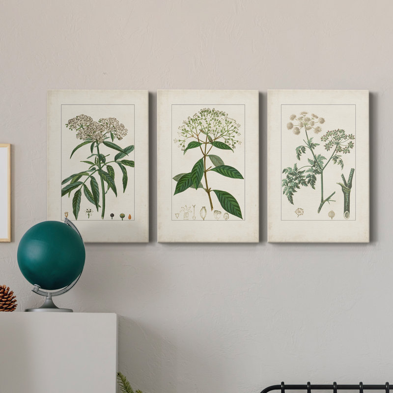 Antique Turpin Botanical VII - Ensemble de 3 peintures sur toile tendue, H 27 po x l 54 po x P 1 po
