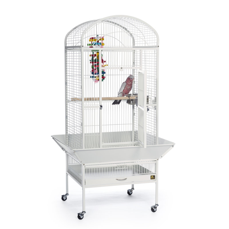 Chalk White Medium Dome Top Bird Cage with Wheels
