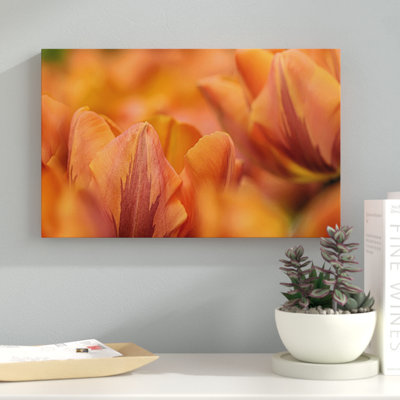 « orange tulips », reproduction de photo sur toile tendue