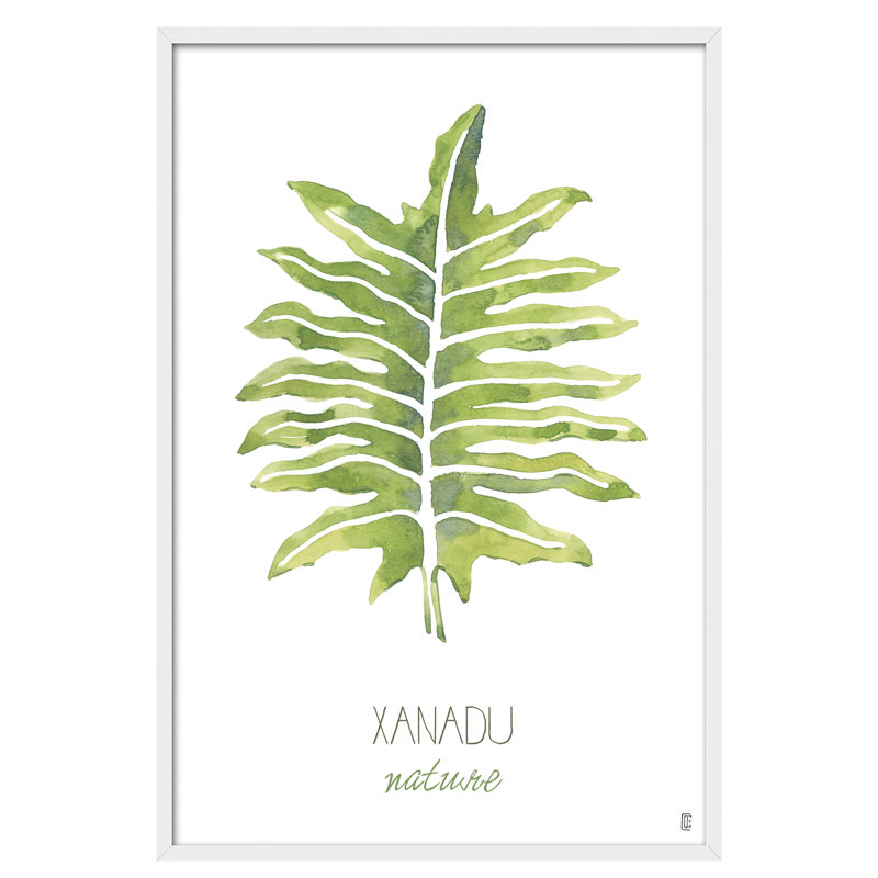 Nature Nature Xanadu by César Ortiz Echagüe - Single Picture Frame Painting, 90cm H x 60cm W x 3cm D
