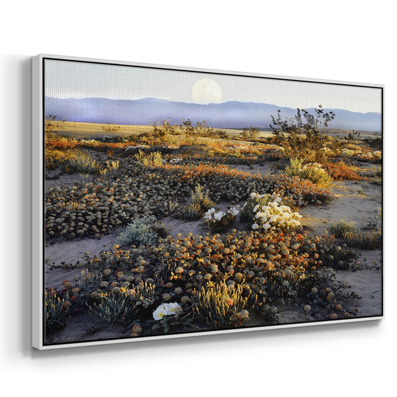 Anza Borrego, désert encadré sur toile, Cadre blanc, H 17 po x l 25 po x P 2 po