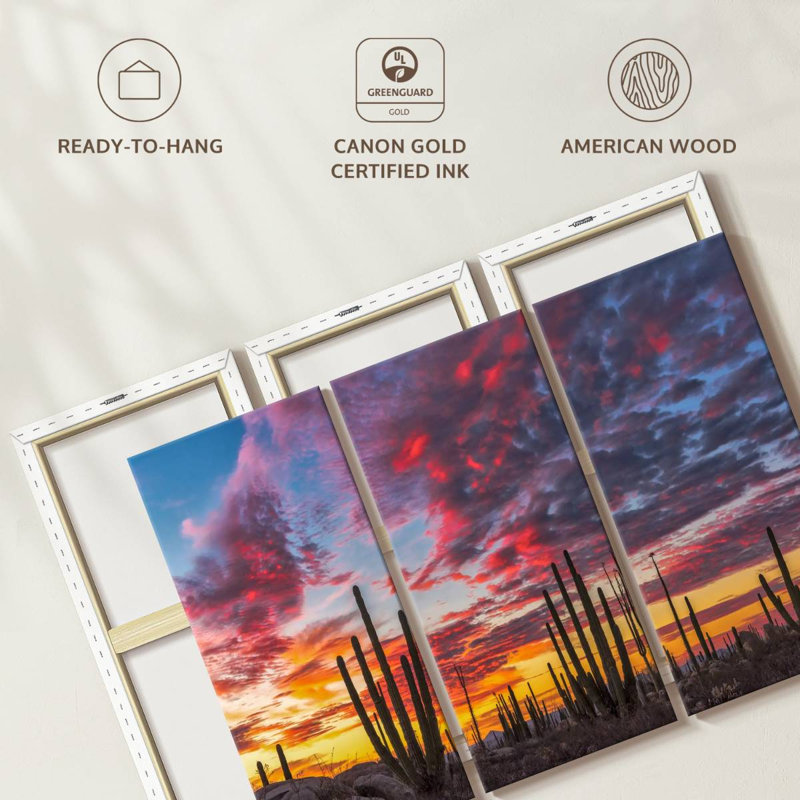 Nature, "Impression sur toile de forêt de cactus de la Basse-Californie" sur, H 28 po x l 45 po x P 1,25 po