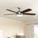 Stembridge 52'' Ceiling Fan with LED Lights