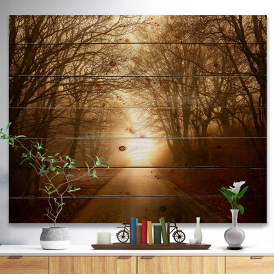Path to Sunlight in Autumn Forest'Photograph