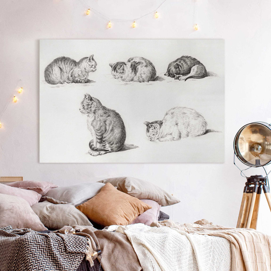 Leinwandbild Vintage Katze