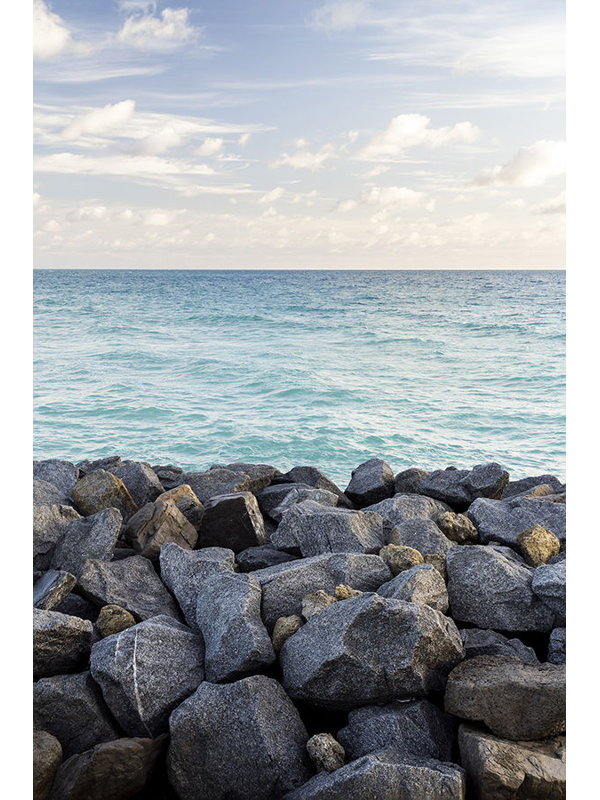 Rocky Shores Print by Adam Mowery, Image Brush Gel