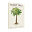 Plants &Flowers Money Tree Plant Illustration Pattern Print-1423528202