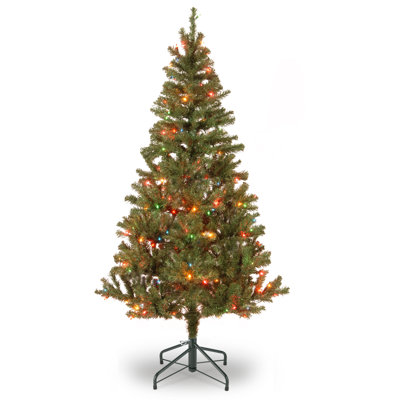 Canadian Grande Fir Tree with Multicolor Lights