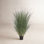 Gazon vert en pot Kellan