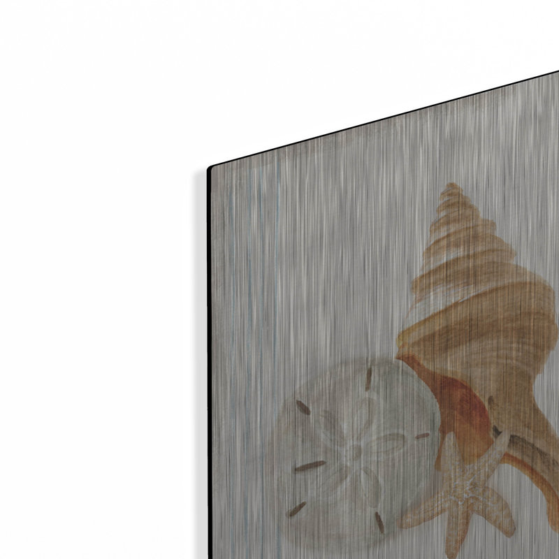 Highland Dunes «Floursack Nautical Shells 3» par Danhui Nai, art mural en métal, H 16 po x l 16 po