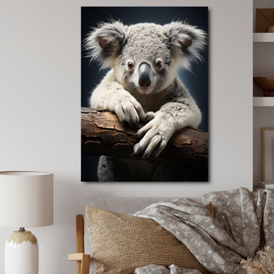 " Grey Koala Portrait I "