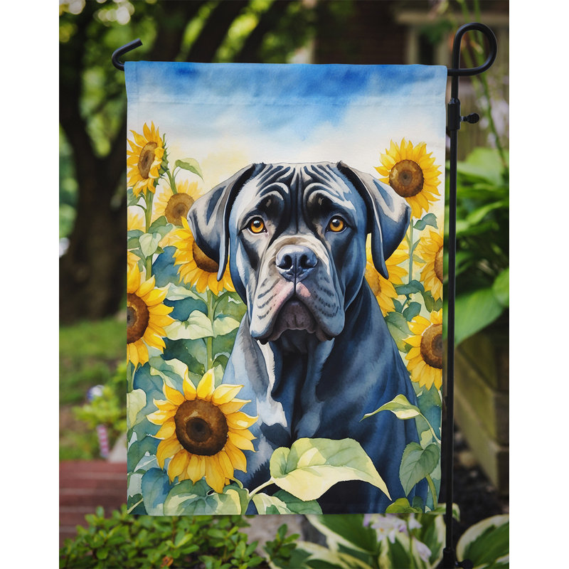 Lévrier irlandais dans le drapeau du jardin de tournesols, Cane corso