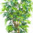 Fancy Style Bamboo Tree-574465451