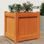 Brieuc Wood Planter Box-1801514509-1801514510