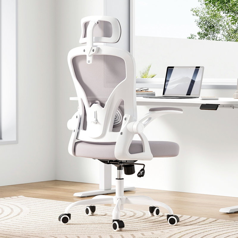 Rupesh Mesh Office Chair With Lumbar Support, White/Grey