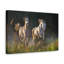 «Arab Horse Couple», impression d'art animalier-306750883