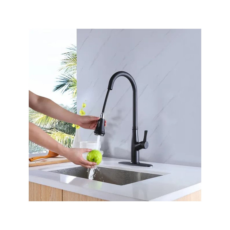 Robinet d'évier de cuisine à poignée simple avec douchette extractible noir mat