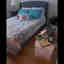 Photos des clients 1 de 1
