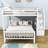 Delynne Kids Twin Over Full Bunk Bed-1247528934