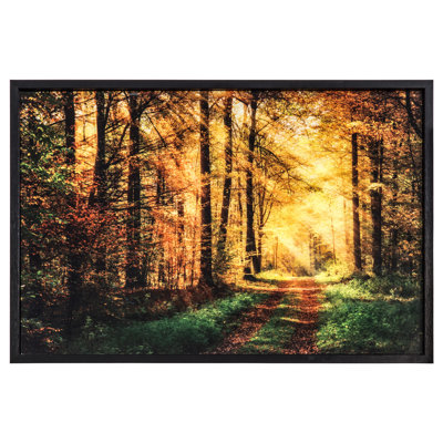 " The Road Traveled "
