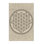 Tapis moelleux moelleux d'inspiration mondiale Earls - beige