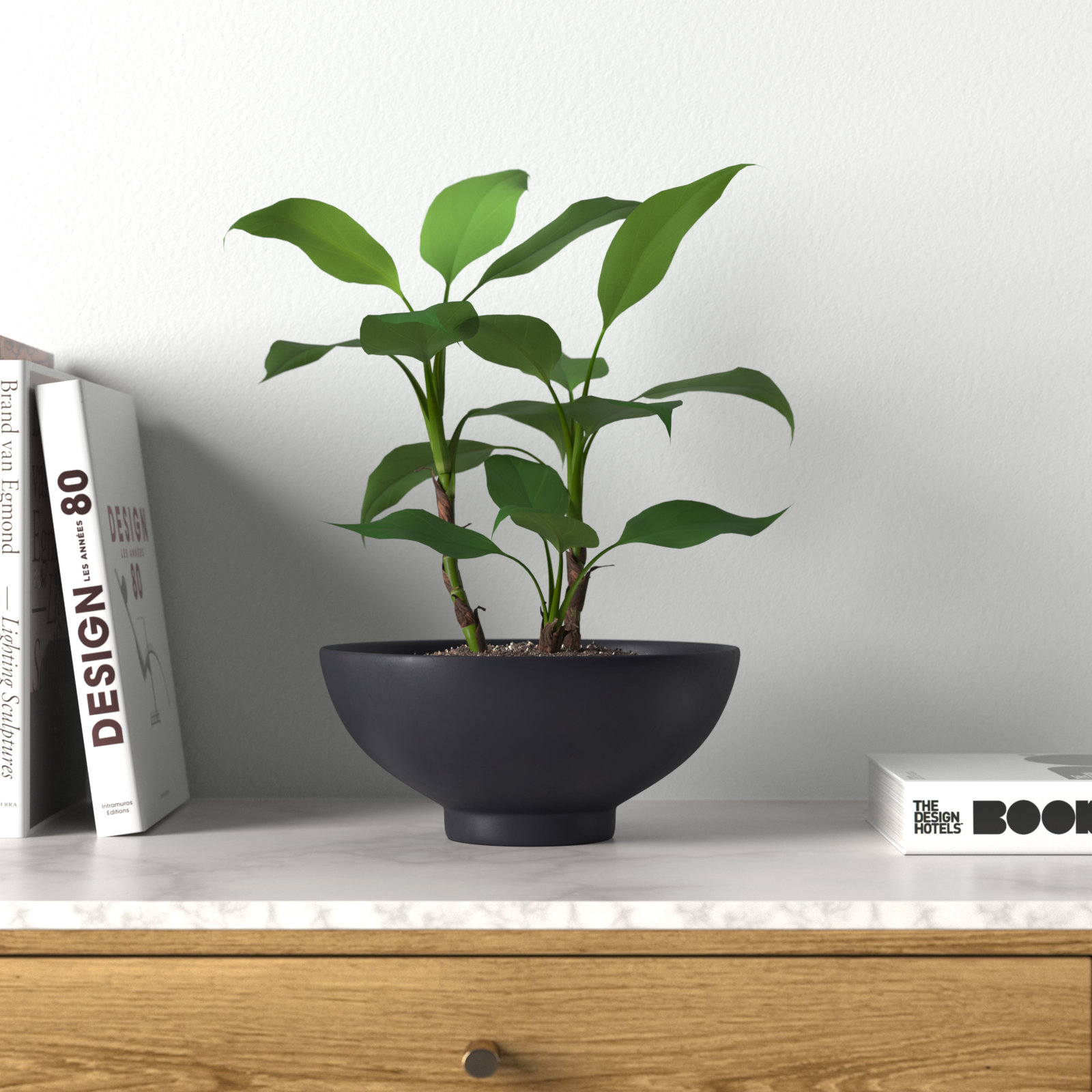 Allie 17" Ceramic Pot Planter, 5.75'' H x 12'' W x 12'' D