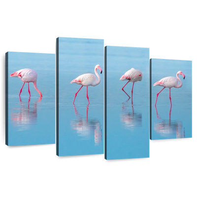 Flamants roses du lac bleu Brampt
