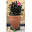 Maris Weather Resistant Planter Feet