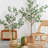 Artificial Eucalyptus Tree In Plastic Nursery Pot-1395723988
