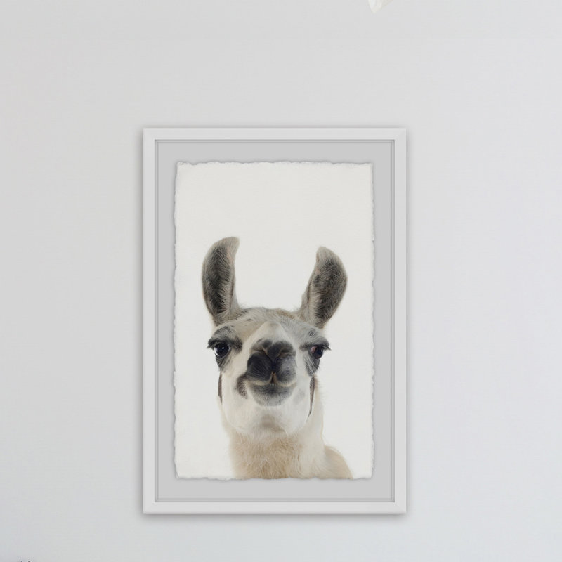 Black and White Llama - Drawing, 30cm H x 20cm W
