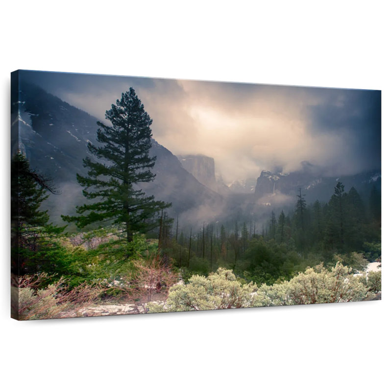 Parc national Alvord Foggy Yosemite, H 26 po x l 39 po