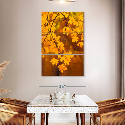 Feuilles d'orange Alvord