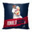 Reversible Pillow Cover