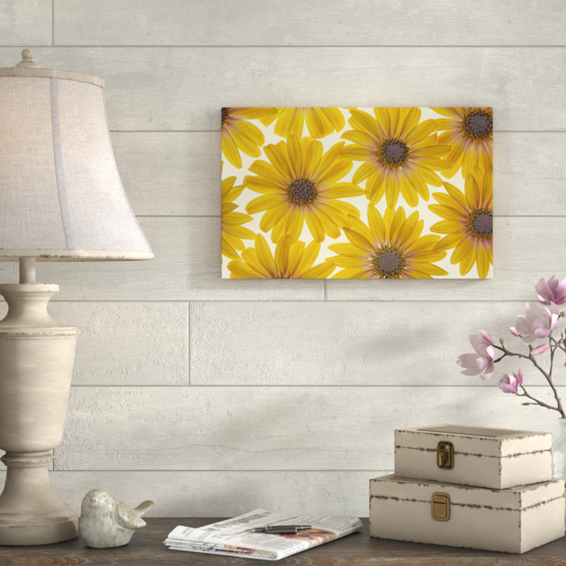 « yellow cape marguerites », reproduction de photo sur toile tendue, H 12 po x l 19 po x P 2 po