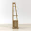 Ladder Bookcase
